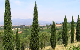 Die Aussicht von Bellosguardo ins Arnotal